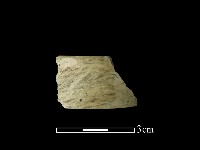 藏品(玉環)的圖片