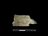 藏品(玉環)的圖片