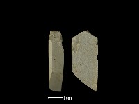 藏品(錛鑿形器)的圖片