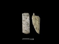 藏品(錛鑿形器)的圖片