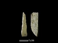 藏品(錛鑿形器)的圖片