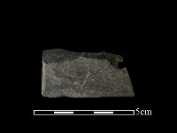 藏品(石刀)的圖片