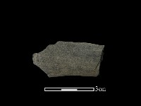 藏品(石鐮)的圖片