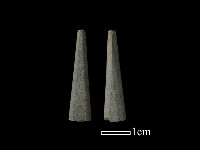 藏品(矛鏃形器)的圖片