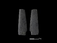 藏品(矛鏃形器)的圖片