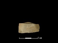 藏品(矛鏃形器)的圖片