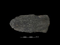 藏品(戈形器)的圖片