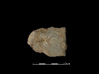 藏品(戈形器)的圖片