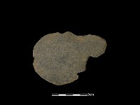 藏品(石鏟)的圖片