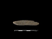 藏品(網墜)的圖片