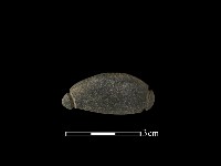 藏品(網墜)的圖片