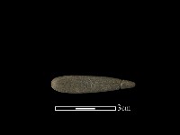 藏品(網墜)的圖片