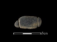 藏品(網墜)的圖片