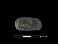 藏品(網墜)的圖片