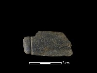 藏品(網墜)的圖片