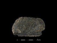 藏品(網墜)的圖片