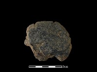 藏品(網墜)的圖片