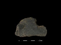 藏品(磨製石器)的圖片