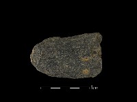 藏品(磨製石器)的圖片