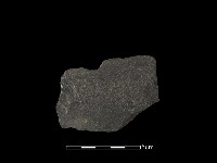 藏品(磨製有刃石器)的圖片