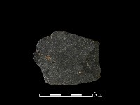 藏品(磨製石器)的圖片