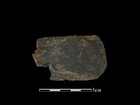 藏品(磨製石器)的圖片