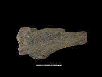 藏品(磨製有刃石器)的圖片