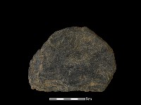 藏品(圓板形石器)的圖片