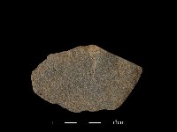 藏品(石片器)的圖片