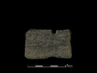 藏品(磨製石器)的圖片