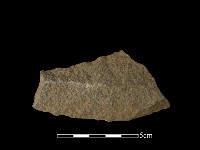 藏品(石片器)的圖片