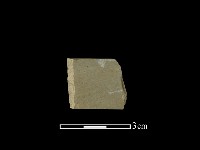 藏品(帶加工痕石材)的圖片