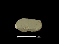 藏品(帶加工痕石材)的圖片