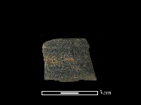 藏品(帶加工痕石材)的圖片