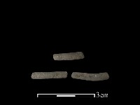 藏品(陶環)的圖片