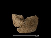 藏品(陶耳)的圖片