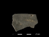 藏品(陶缽)的圖片