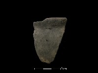 藏品(陶缽)的圖片