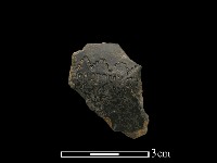 藏品(陶片)的圖片