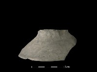 藏品(陶片)的圖片