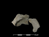 藏品(陶片)的圖片