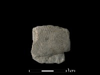 藏品(陶片)的圖片