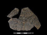 藏品(陶片)的圖片