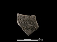 藏品(陶片)的圖片