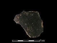 藏品(陶片)的圖片