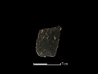 藏品(陶片)的圖片