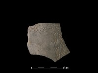 藏品(陶缽)的圖片