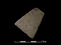 藏品(陶片)的圖片