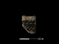 藏品(陶片)的圖片