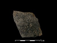 藏品(陶片)的圖片